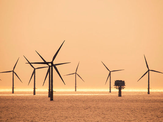 Schutz des weltgrößten Offshore-Windparks - Dogger Bank -