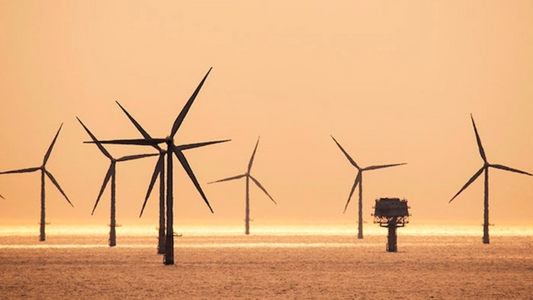 Schutz des weltgrößten Offshore-Windparks - Dogger Bank -